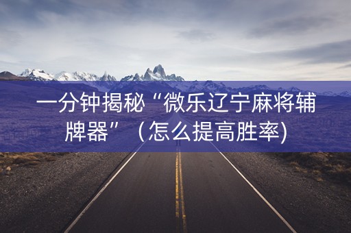 一分钟揭秘“微乐辽宁麻将辅牌器”（怎么提高胜率)
