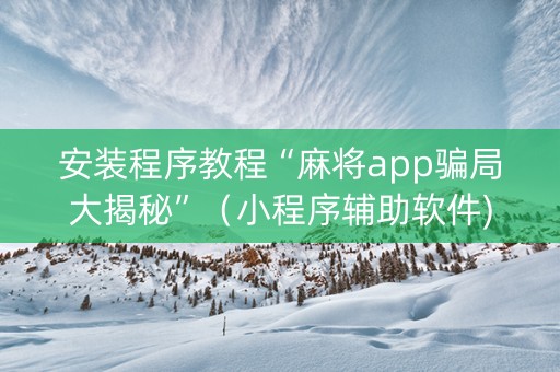 安装程序教程“麻将app骗局大揭秘”（小程序辅助软件)