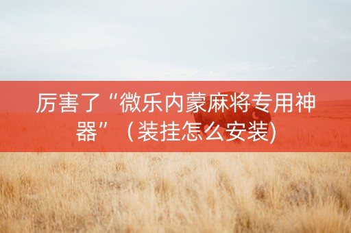 厉害了“微乐内蒙麻将专用神器”（装挂怎么安装)