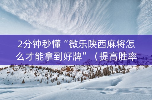 2分钟秒懂“微乐陕西麻将怎么才能拿到好牌”（提高胜率软件)