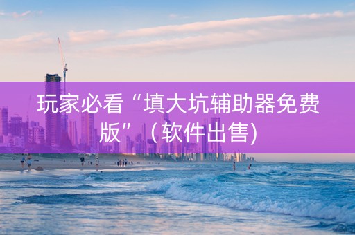 玩家必看“填大坑辅助器免费版”（软件出售)