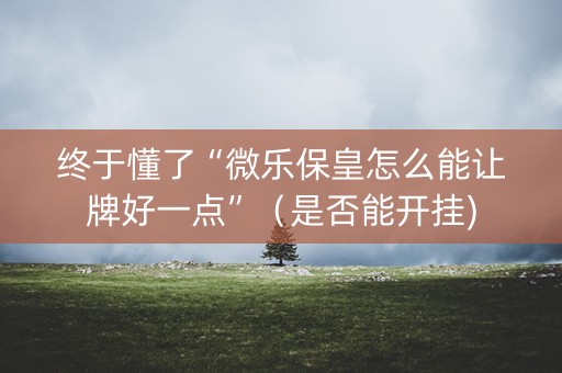 终于懂了“微乐保皇怎么能让牌好一点”（是否能开挂)