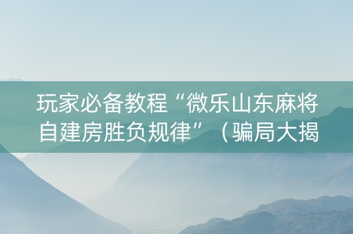 玩家必备教程“微乐山东麻将自建房胜负规律”（骗局大揭秘)