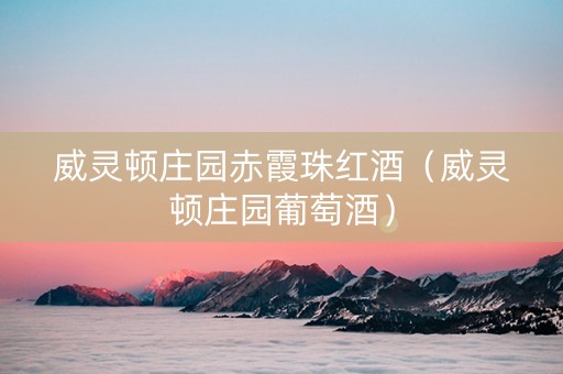 威灵顿庄园赤霞珠红酒（威灵顿庄园葡萄酒）