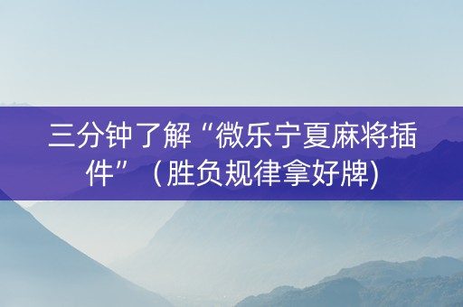 三分钟了解“微乐宁夏麻将插件”（胜负规律拿好牌)
