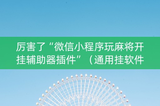 厉害了“微信小程序玩麻将开挂辅助器插件”（通用挂软件多少钱)