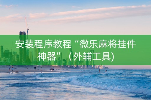 安装程序教程“微乐麻将挂件神器”（外辅工具)