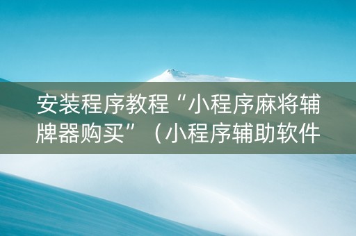 安装程序教程“小程序麻将辅牌器购买”（小程序辅助软件)