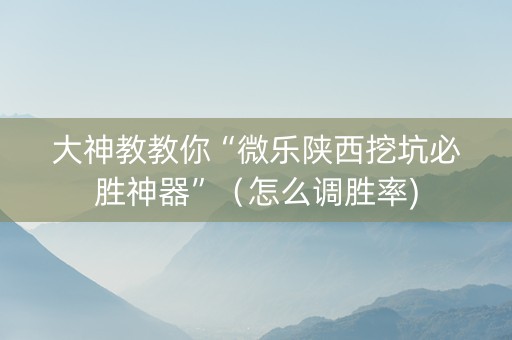 大神教教你“微乐陕西挖坑必胜神器”（怎么调胜率)