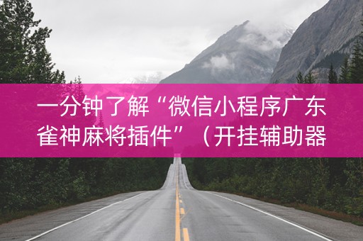 一分钟了解“微信小程序广东雀神麻将插件”（开挂辅助器插件)