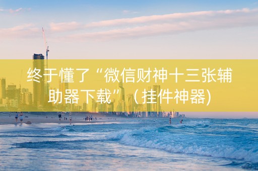 终于懂了“微信财神十三张辅助器下载”（挂件神器)