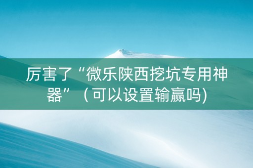 厉害了“微乐陕西挖坑专用神器”（可以设置输赢吗)