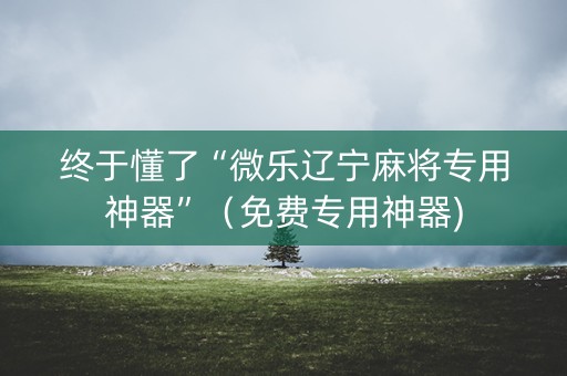 终于懂了“微乐辽宁麻将专用神器”（免费专用神器)