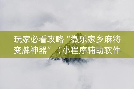 玩家必看攻略“微乐家乡麻将变牌神器”（小程序辅助软件)