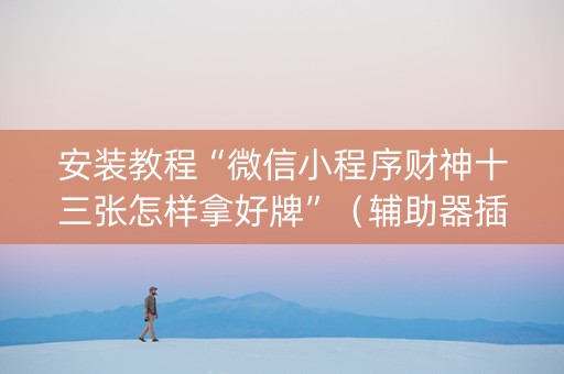 安装教程“微信小程序财神十三张怎样拿好牌”（辅助器插件)