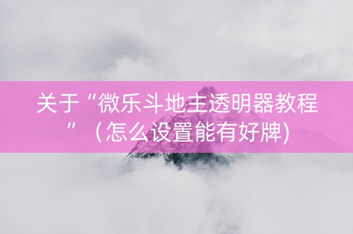 关于“微乐斗地主透明器教程”（怎么设置能有好牌)