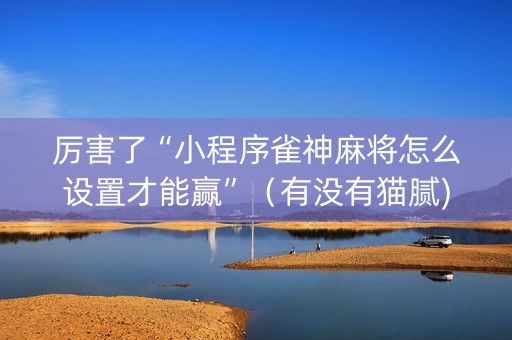 厉害了“小程序雀神麻将怎么设置才能赢”（有没有猫腻)