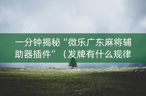 一分钟揭秘“微乐广东麻将辅助器插件”（发牌有什么规律吗)