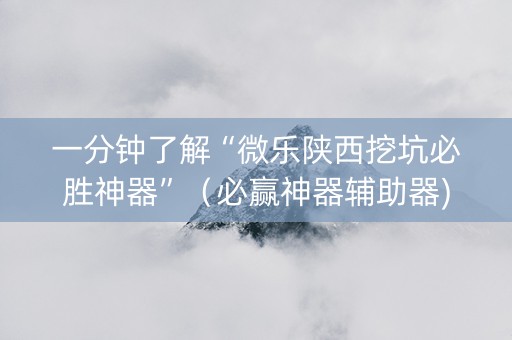 一分钟了解“微乐陕西挖坑必胜神器”（必赢神器辅助器)