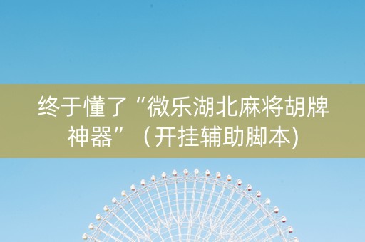 终于懂了“微乐湖北麻将胡牌神器”（开挂辅助脚本)