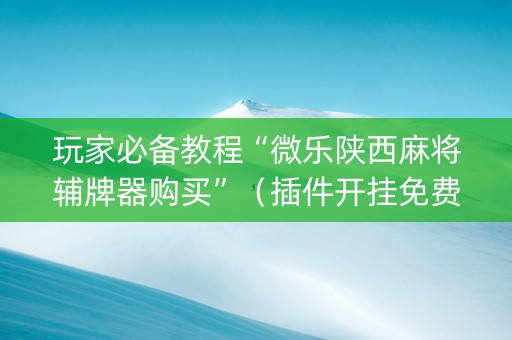 玩家必备教程“微乐陕西麻将辅牌器购买”（插件开挂免费AI)