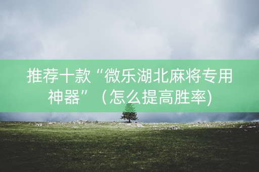 推荐十款“微乐湖北麻将专用神器”（怎么提高胜率)