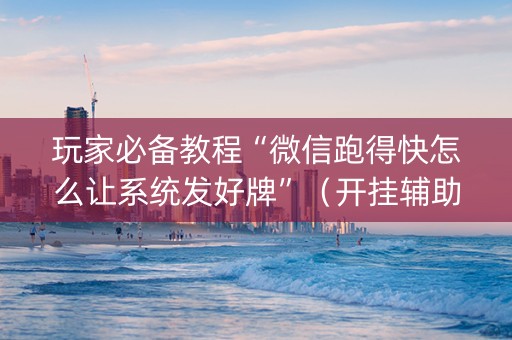 玩家必备教程“微信跑得快怎么让系统发好牌”（开挂辅助插件)