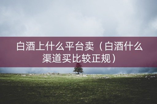 白酒上什么平台卖（白酒什么渠道买比较正规）