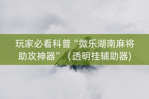 玩家必看科普“微乐湖南麻将助攻神器”（透明挂辅助器)