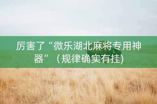 厉害了“微乐湖北麻将专用神器”（规律确实有挂)
