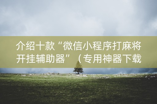 介绍十款“微信小程序打麻将开挂辅助器”（专用神器下载)