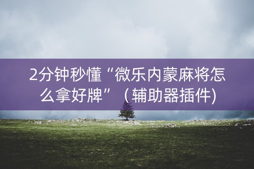 2分钟秒懂“微乐内蒙麻将怎么拿好牌”（辅助器插件)