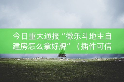 今日重大通报“微乐斗地主自建房怎么拿好牌”（插件可信吗)