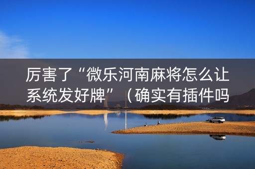 厉害了“微乐河南麻将怎么让系统发好牌”（确实有插件吗)