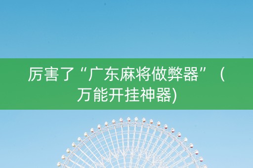 厉害了“广东麻将做弊器”（万能开挂神器)