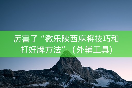 厉害了“微乐陕西麻将技巧和打好牌方法”（外辅工具)