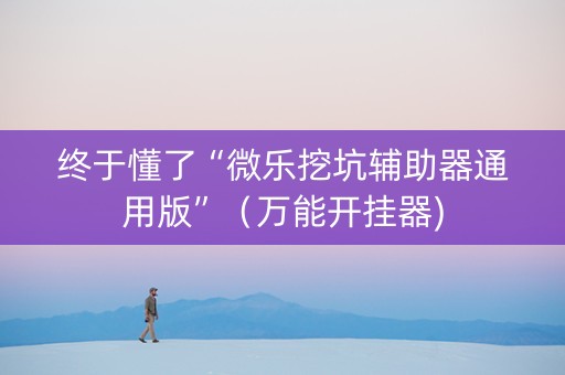 终于懂了“微乐挖坑辅助器通用版”（万能开挂器)