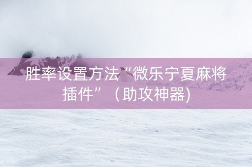 胜率设置方法“微乐宁夏麻将插件”（助攻神器)