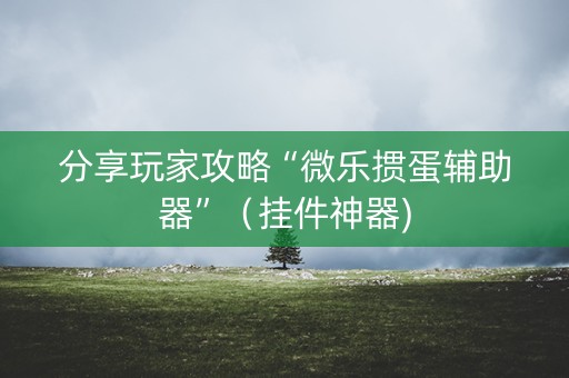 分享玩家攻略“微乐掼蛋辅助器”（挂件神器)