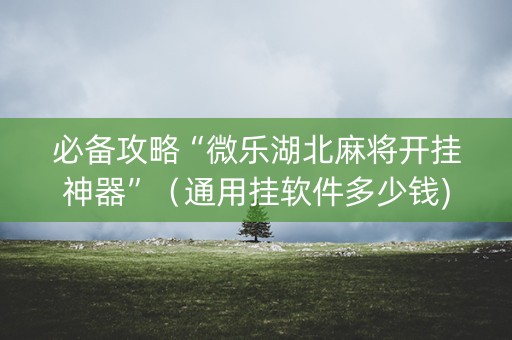 必备攻略“微乐湖北麻将开挂神器”（通用挂软件多少钱)