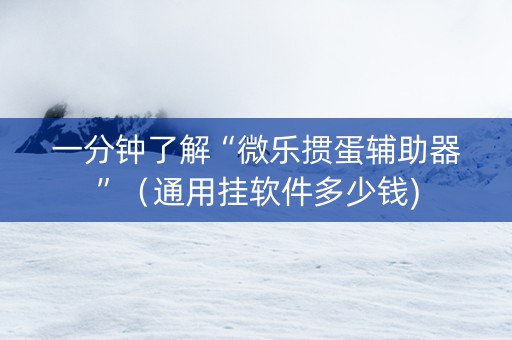 一分钟了解“微乐掼蛋辅助器”（通用挂软件多少钱)