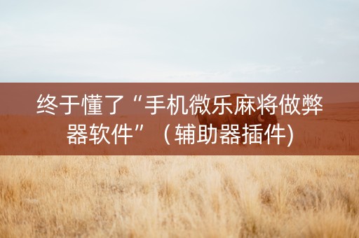 终于懂了“手机微乐麻将做弊器软件”（辅助器插件)