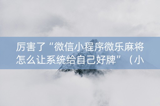 厉害了“微信小程序微乐麻将怎么让系统给自己好牌”（小程序控牌器)
