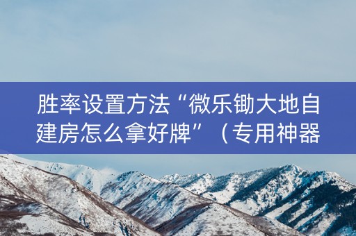 胜率设置方法“微乐锄大地自建房怎么拿好牌”（专用神器下载)