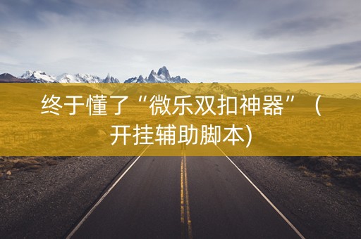 终于懂了“微乐双扣神器”（开挂辅助脚本)