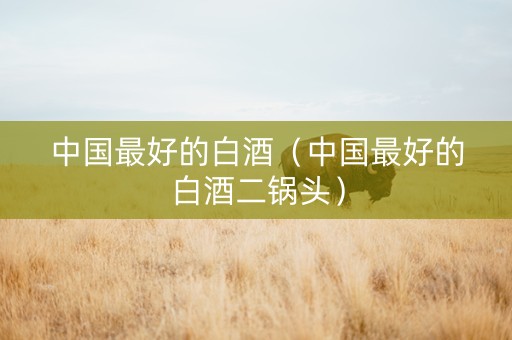 中国最好的白酒（中国最好的白酒二锅头）