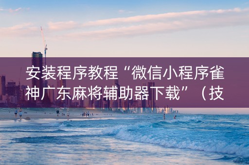 安装程序教程“微信小程序雀神广东麻将辅助器下载”（技巧和打好牌方法)