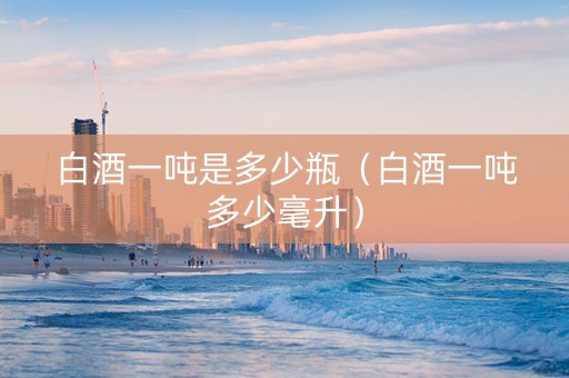 白酒一吨是多少瓶（白酒一吨多少毫升）