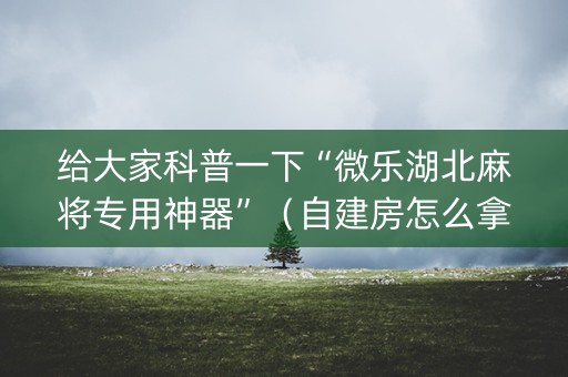 给大家科普一下“微乐湖北麻将专用神器”（自建房怎么拿好牌)