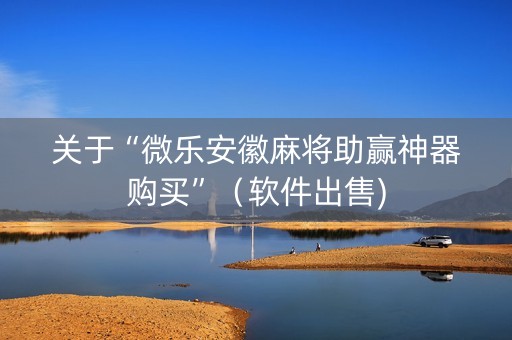 关于“微乐安徽麻将助赢神器购买”（软件出售)